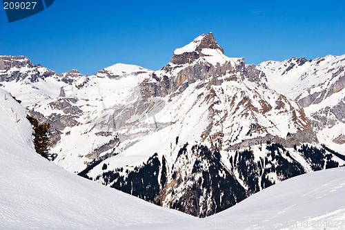 Image of Winter Scene