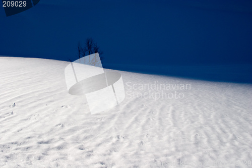 Image of Alone in Snow