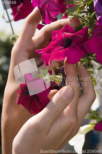 Image of styling, flower in hand