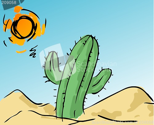 Image of Cactus in the desert