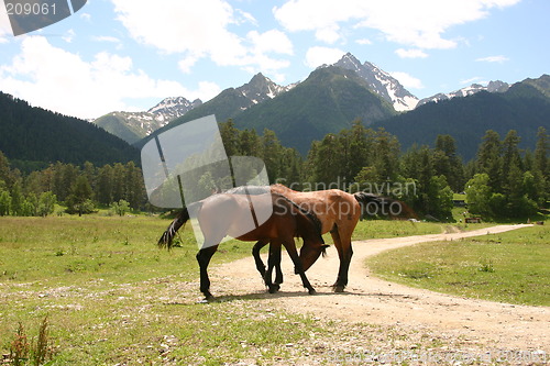 Image of ridge Caucasus Mountains, Ãîðû Êàâêàçà