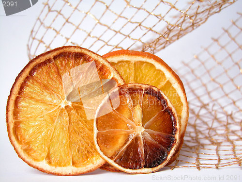 Image of orange