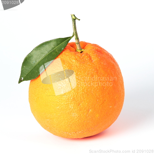 Image of Orange fruit isolated on white