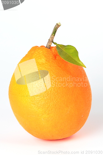 Image of Ripe orange