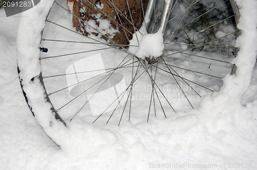 Image of Winter