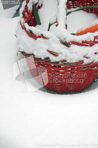 Image of Winter