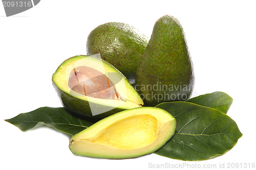 Image of avocado fruit on a white background 