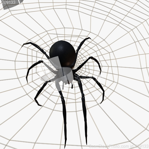 Image of Black Widow Spider