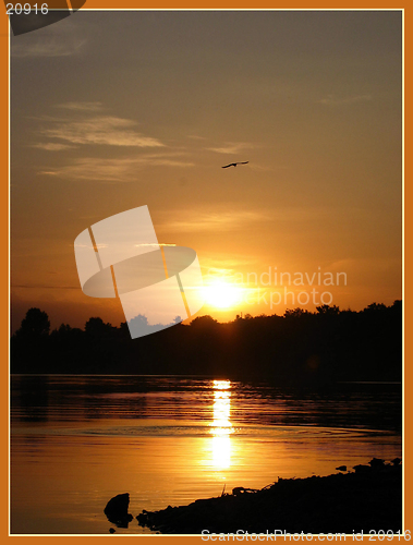 Image of GOLDEN SUNSET