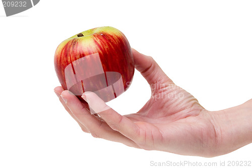 Image of This apple is for you