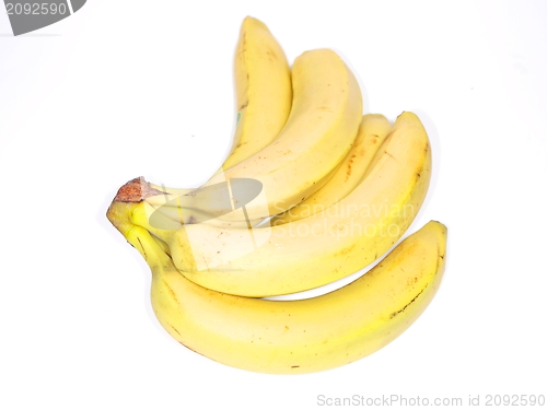 Image of Bananas