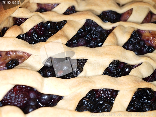 Image of Fresh dark blue berry pie