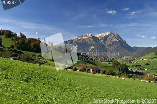 Image of Green field