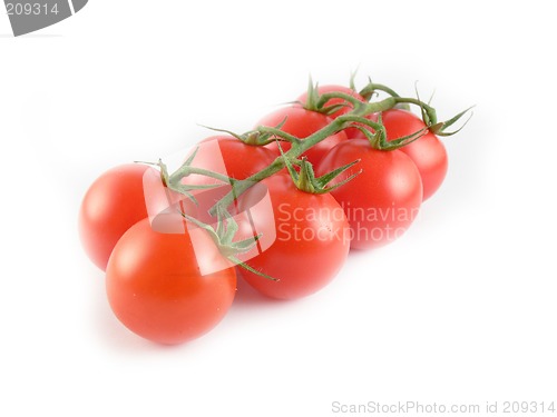 Image of Tomatoe