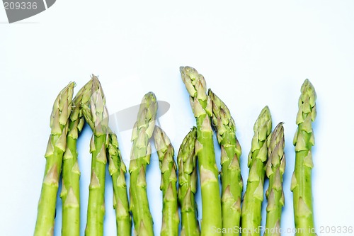 Image of Green asparagus
