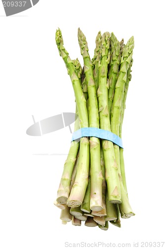 Image of Green asparagus