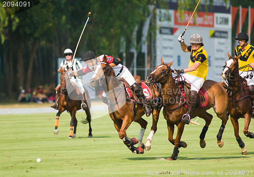Image of Thai Polo Open 2013 in Pattaya, Thailand