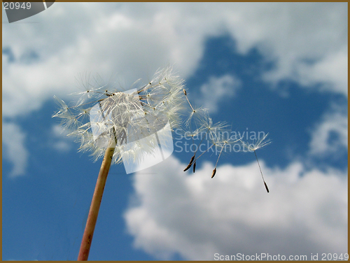 Image of READY TO FLY