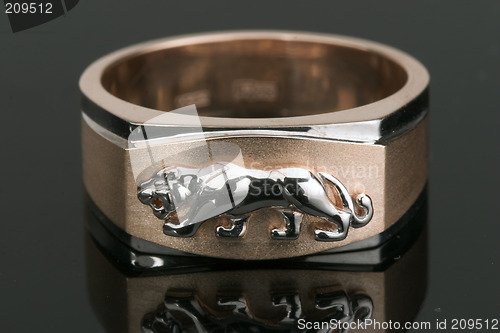 Image of ring. garnish,