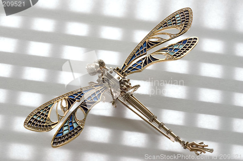 Image of garnishing. dragonfly,