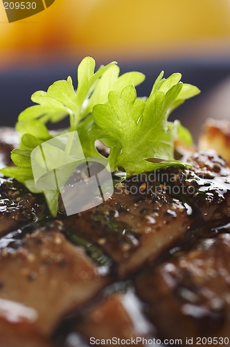 Image of Duck meat close-up