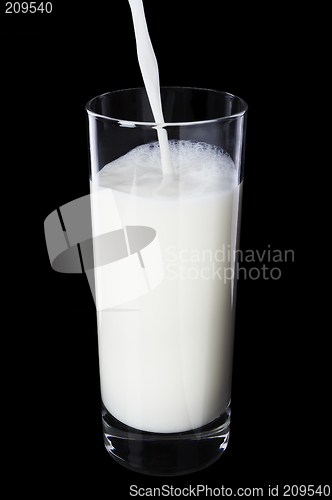 Image of Milk