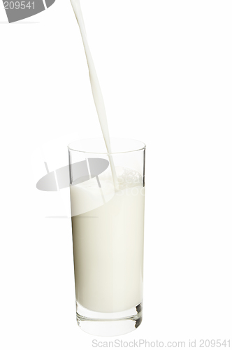 Image of Milk