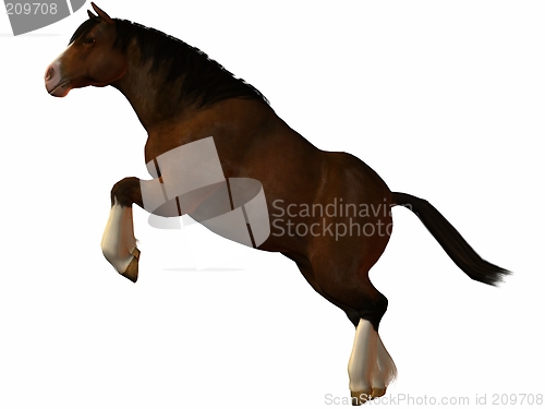 Image of Charger Horse-Leap