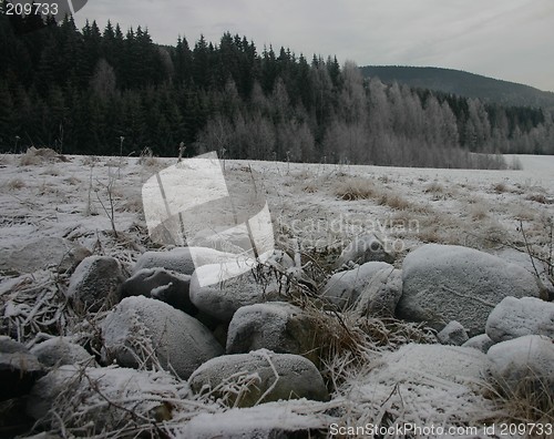 Image of december landscape