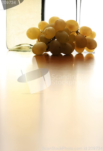 Image of White Wine Abstract