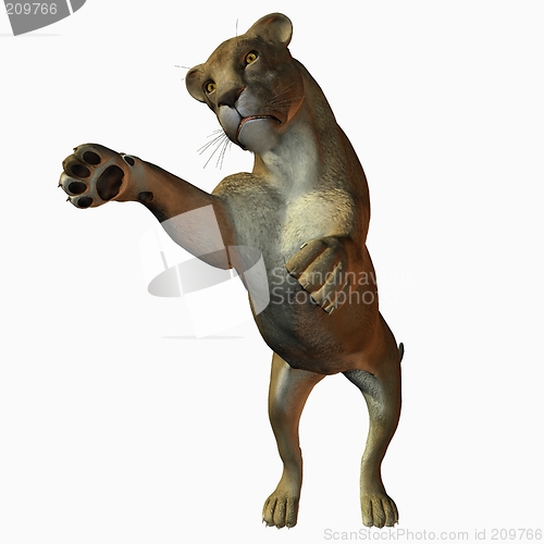 Image of Lioness