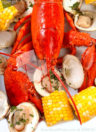 Image of Boiled lobster dinner with clams and corn