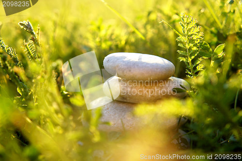Image of Stones