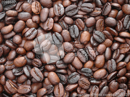 Image of Freshly roasted coffee beans