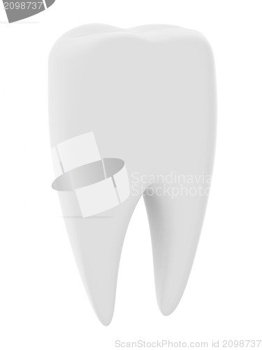 Image of Tooth isolated on white