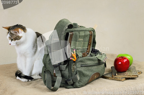 Image of Cat And Backpack 