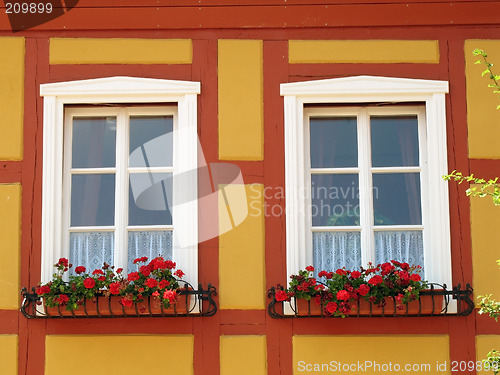 Image of Windows with geranium