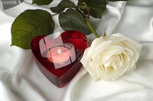 Image of rose