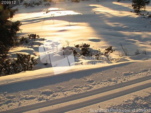 Image of Cross country track