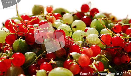 Image of Berries