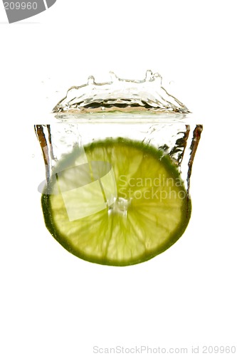 Image of Lime drop