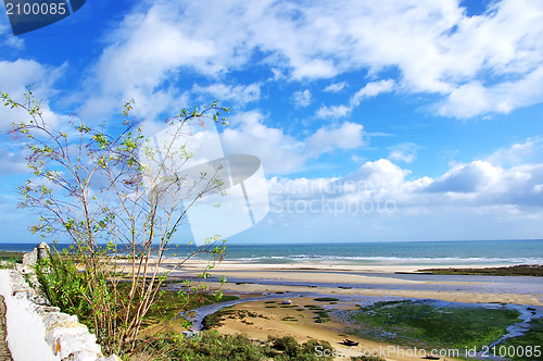 Image of Landscape of Ria Formosa, Algarve