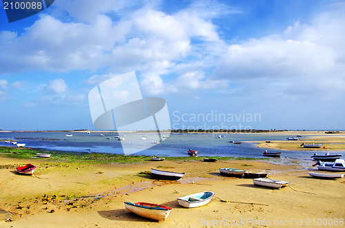 Image of Small boats on Ria Formosa, Algarve