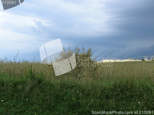 Image of Haystack