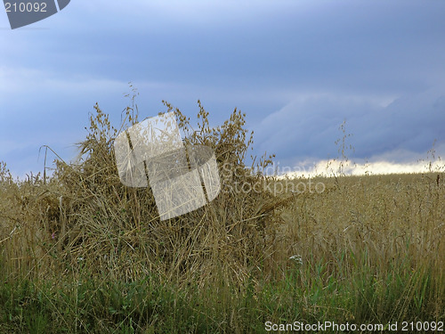 Image of Haystack