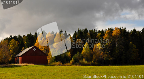 Image of Forest in fall, with barn. 