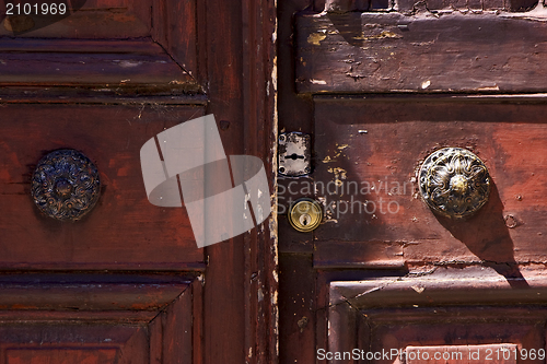 Image of brass brown knocker in a closed wood  door