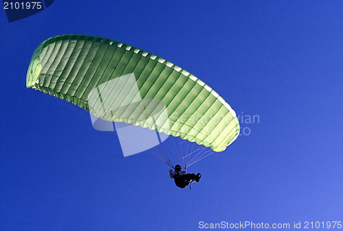 Image of Glider