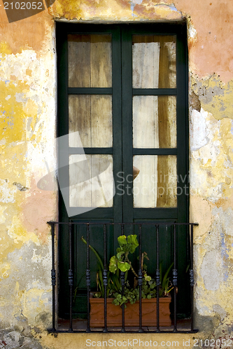 Image of green old window little terrce and flower 