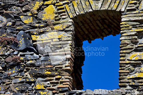 Image of  old window flower and pigeons